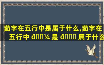 茹字在五行中是属于什么,茹字在五行中 🌼 是 🐘 属于什么意思